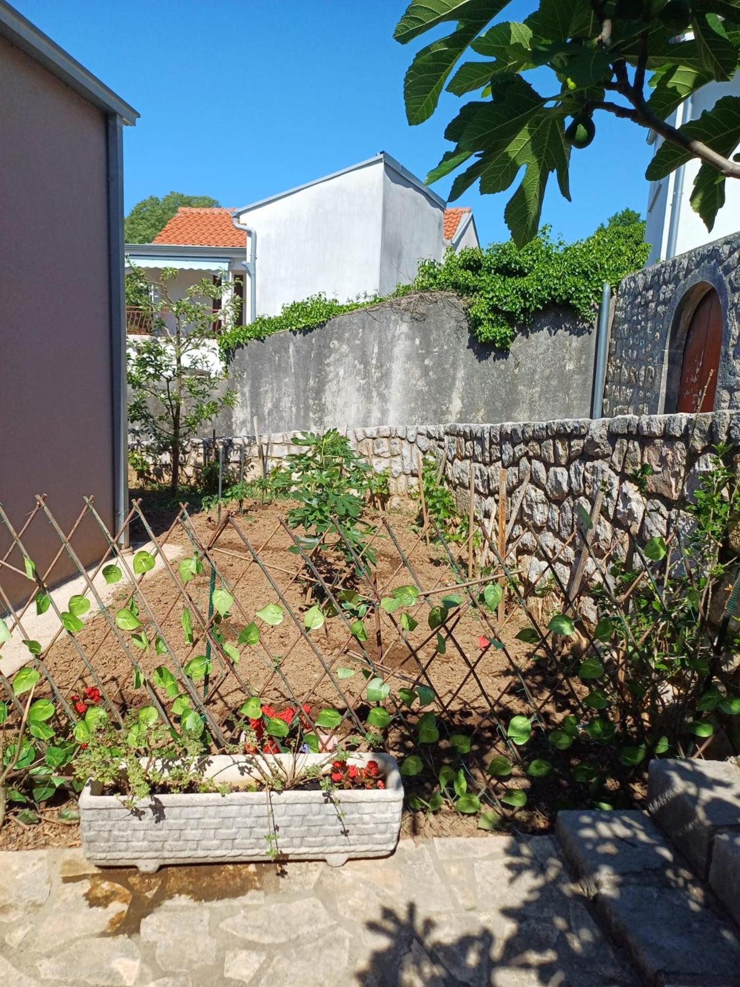 Apartmani Afrodita Crikvenica Luaran gambar